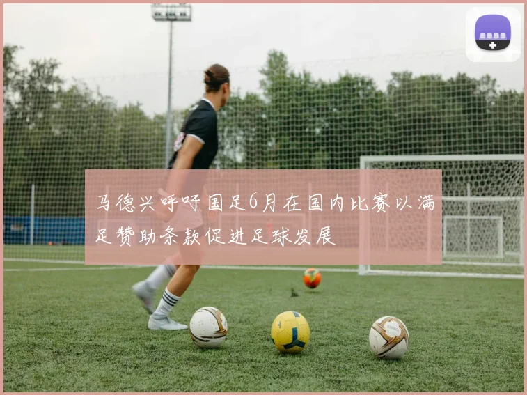马德兴呼吁国足6月在国内比赛以满足赞助条款促进足球发展